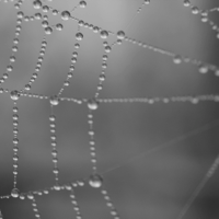 stacks_image_A9CC7F42-57A8-47D9-B5FE-159EA4BC4E0F